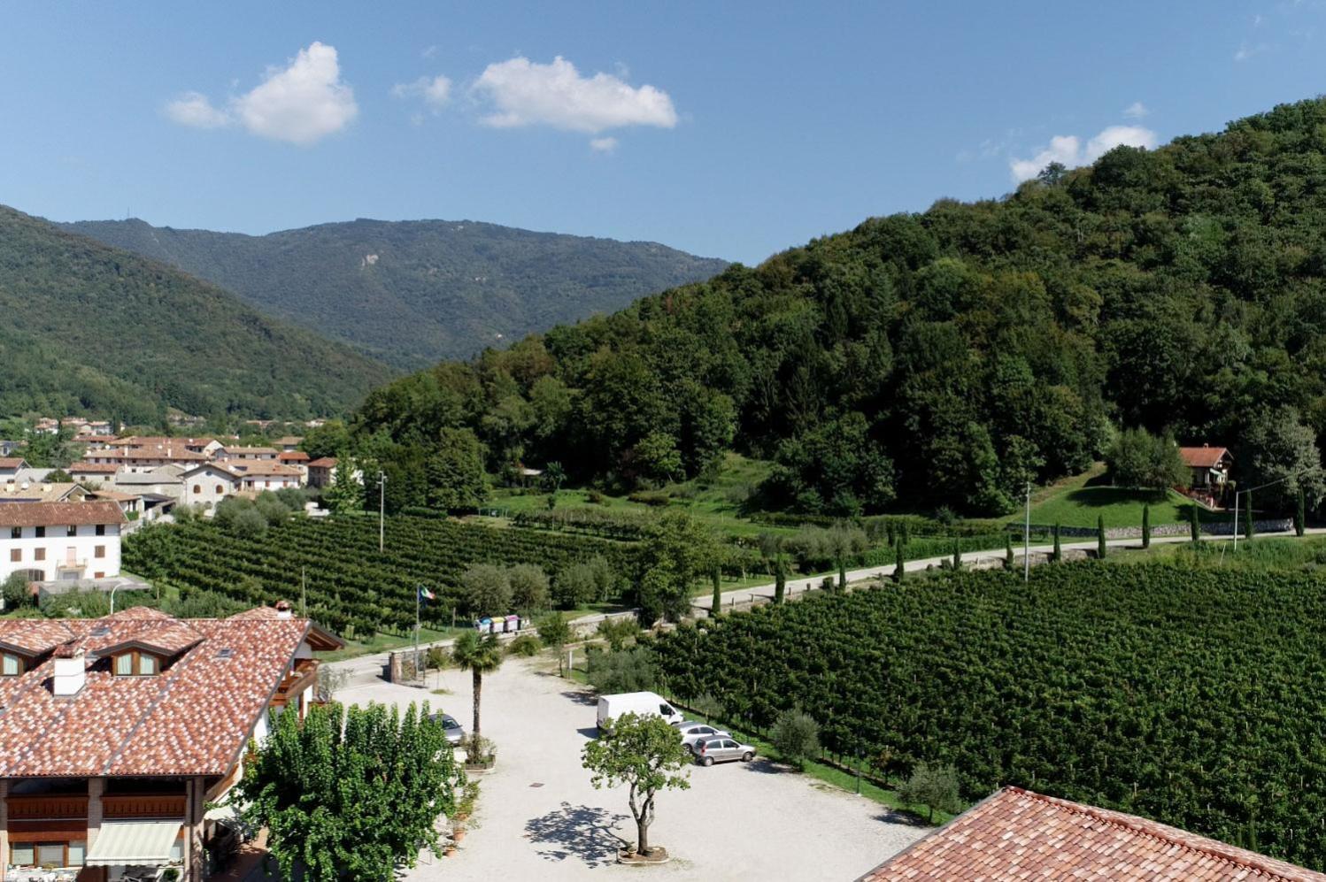 Wine Resort Faedis Extérieur photo